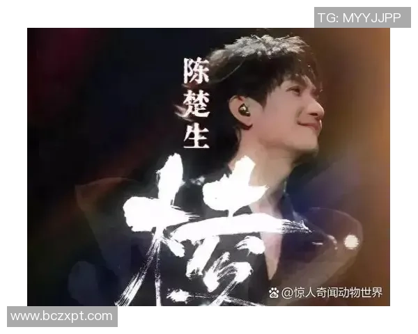 北京排球队逆袭之路:从低谷到巅峰的奋斗与荣耀 北京排球队逆袭之路:从低谷到巅峰的奋斗与荣耀