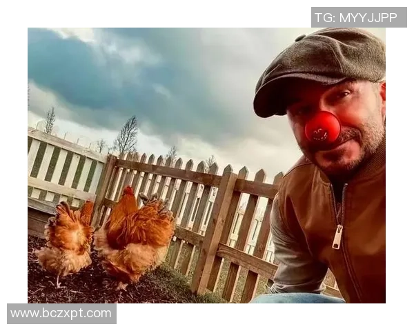 哪个足球明星在养鸡方面最具实力与成就揭秘 哪个足球明星在养鸡方面最具实力与成就揭秘